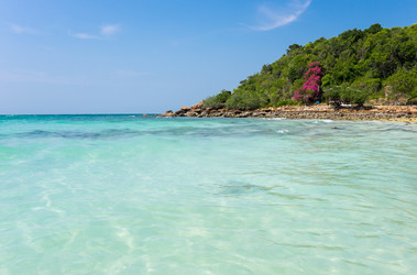 Similar image 22623282