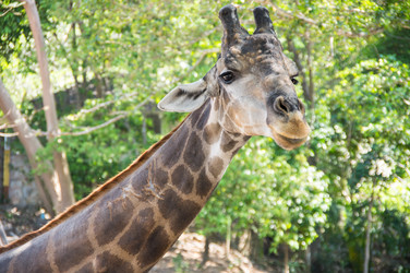 Similar image 22623285