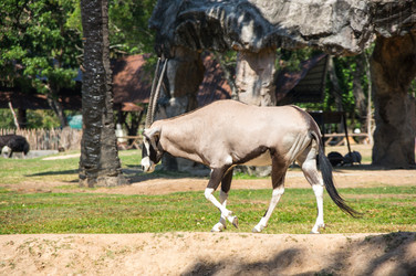 Similar image 22623288