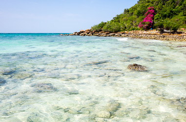 Similar image 22623295