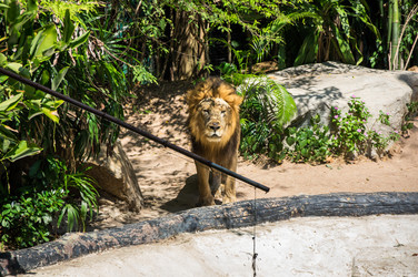 Similar image 22623296