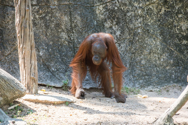 Similar image 22623300