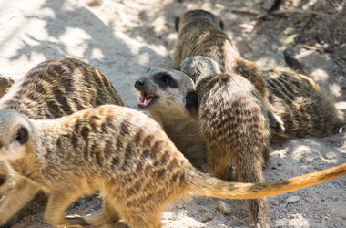 Similar image 22623302