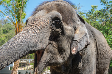 Similar image 22623308