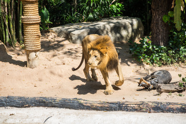 Similar image 22623309