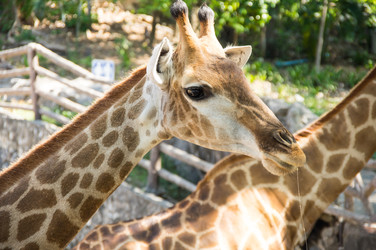 Similar image 22623312