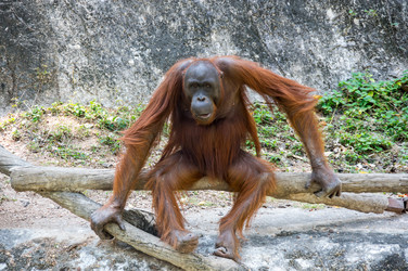 Similar image 22623313