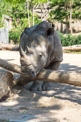 Similar image 22623314