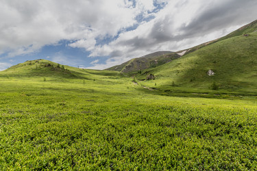 Similar image 22623333