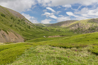 Similar image 22623343