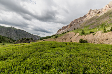 Similar image 22623351