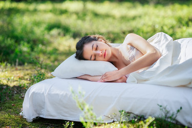 Similar image 22621265