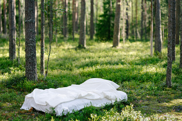 Similar image 22621276