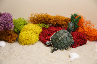 Similar image 22626889