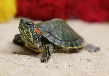 Similar image 22626891