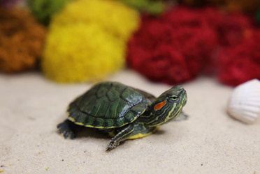 Similar image 22626892