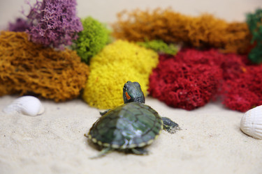 Similar image 22626893