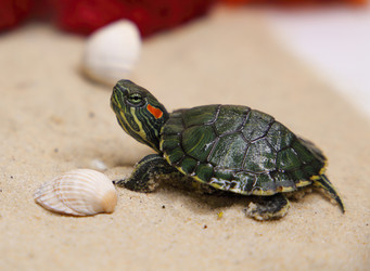 Similar image 22626895