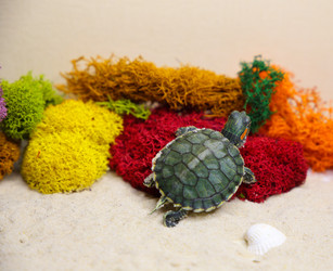 Similar image 22626897