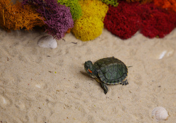 Similar image 22626898