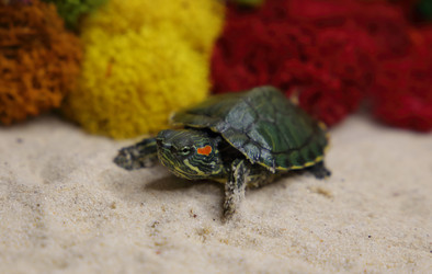 Similar image 22626908