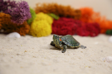 Similar image 22626910