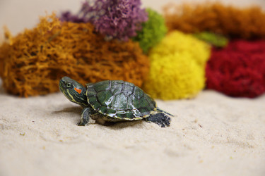 Similar image 22626912