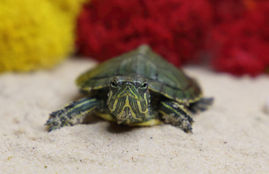 Similar image 22626913