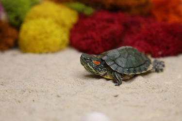 Similar image 22626914