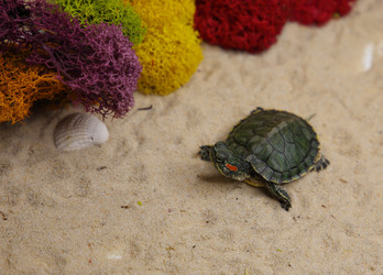 Similar image 22626915