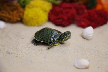 Similar image 22626916