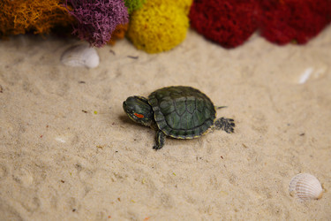 Similar image 22626917