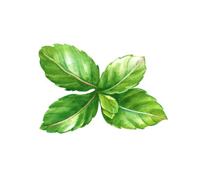 Similar image 22633418