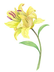 Similar image 22633379