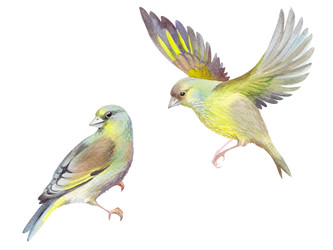 Similar image 22633380