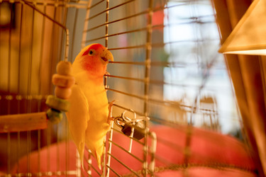 Similar image 22626918