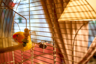 Similar image 22626927