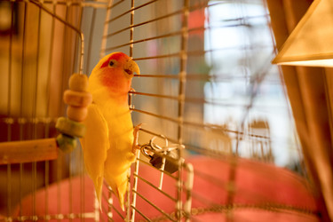 Similar image 22626928