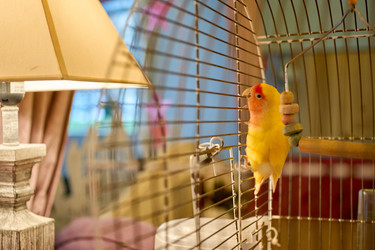 Similar image 22626930