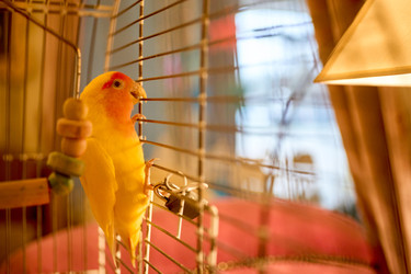 Similar image 22626933