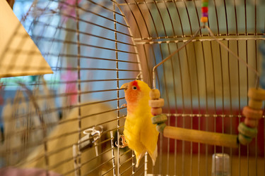 Similar image 22626946