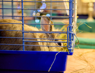 Similar image 22626947