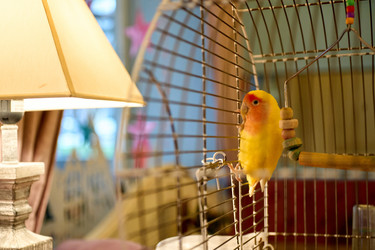 Similar image 22626948