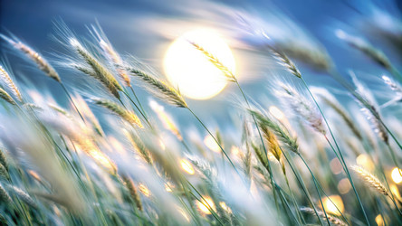 Similar image 22624951