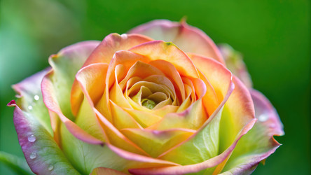 Similar image 22625883