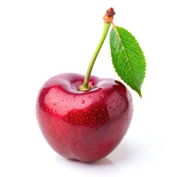 Similar image 22627068