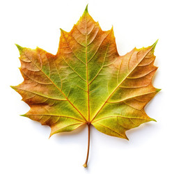 Similar image 22627578