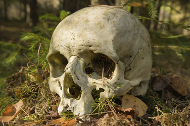 Similar image 22630404