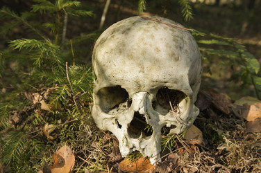 Similar image 22630405