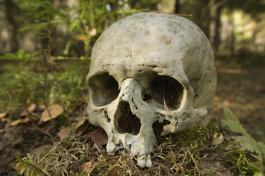 Similar image 22630406